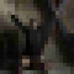 Phorus