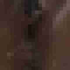 Lavoo