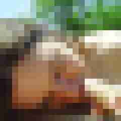 hornycouple7783