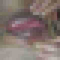 scarett