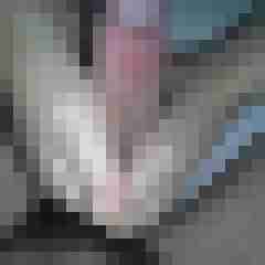 hornycouple7783