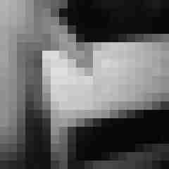 noctolus