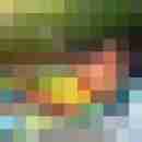 cologneboy