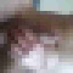 ichwill2