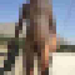 shavedcock7