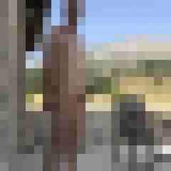 shavedcock7