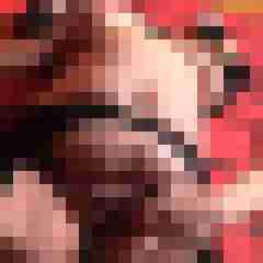 picturefreak