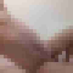 exib1