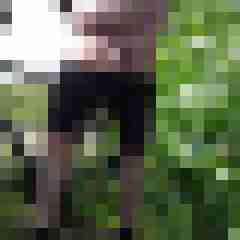 nylonjunge