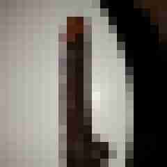 hornycouple7783