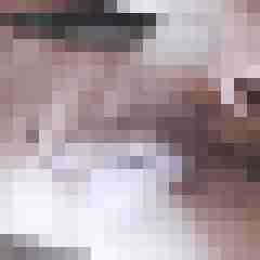 Erotique88
