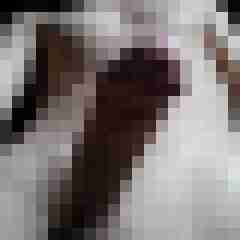 tomwu