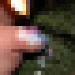 funratte