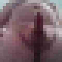 giesser58