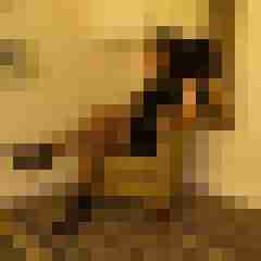 tussi_hot