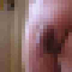 cock01