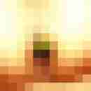 9 Bilder von Randy84