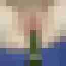 renatol