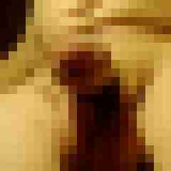 TomiOWL