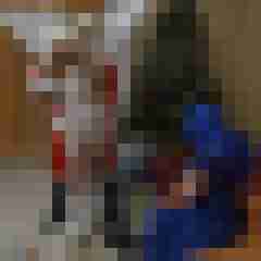 Phorus