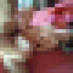 gerrycn