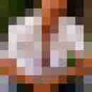 magicfunnyboy