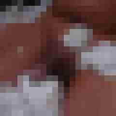 ruttish
