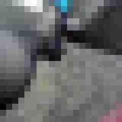 truckinnylons