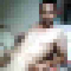 bollo12