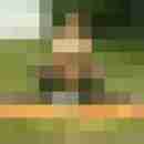 Nivis