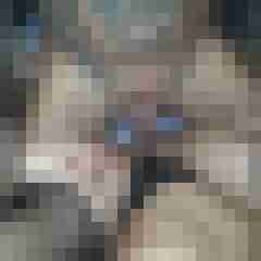Die_Richtige_Nummer