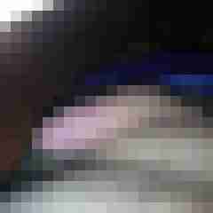 bearchen1