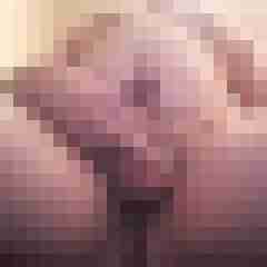 exib1