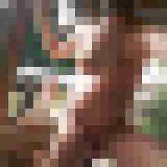 Jolly1157