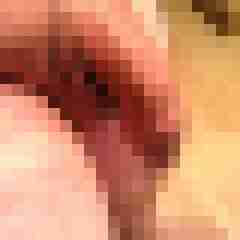 haven69