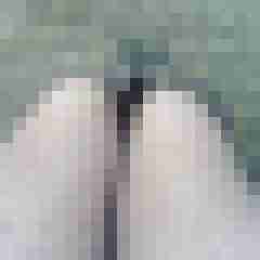 truckinnylons