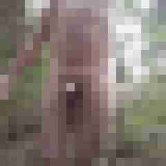 exib1