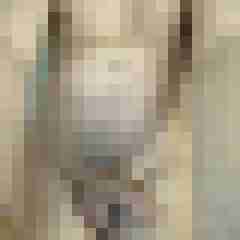 king_richard