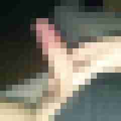 patte83