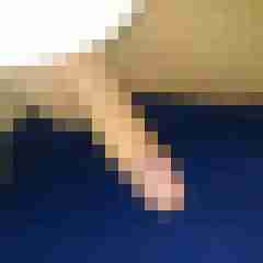 patte83