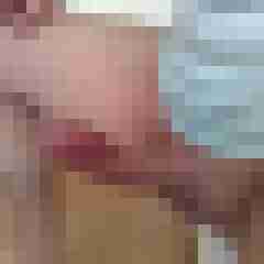 patte83