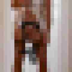 doline
