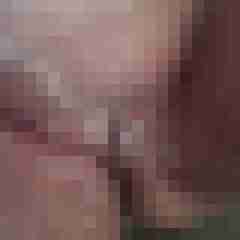 Bbw-Stute