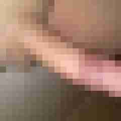 patte83