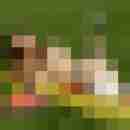 9 Bilder von Nivis