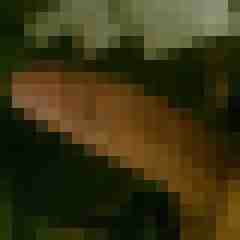 hannes4you