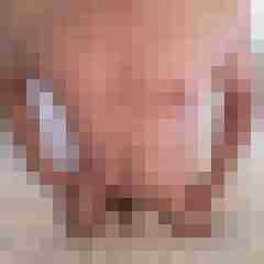 exib1