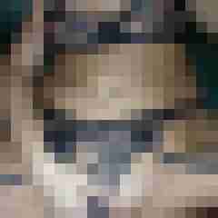 matthe017