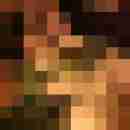 annadevot