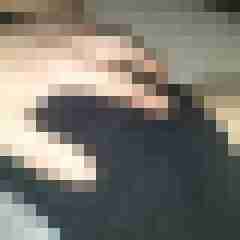 patte83